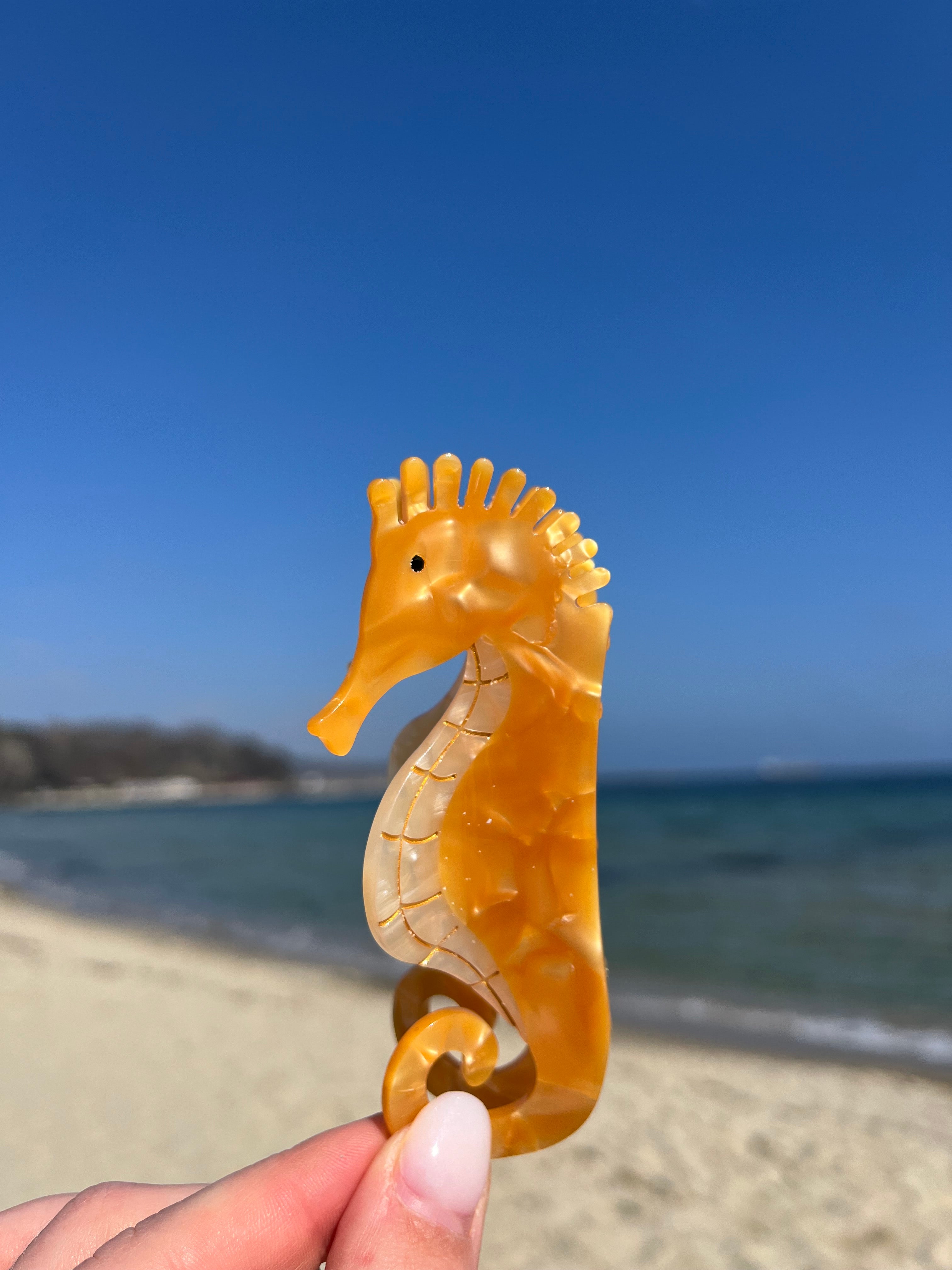 Haarklammer Seahorse Orange