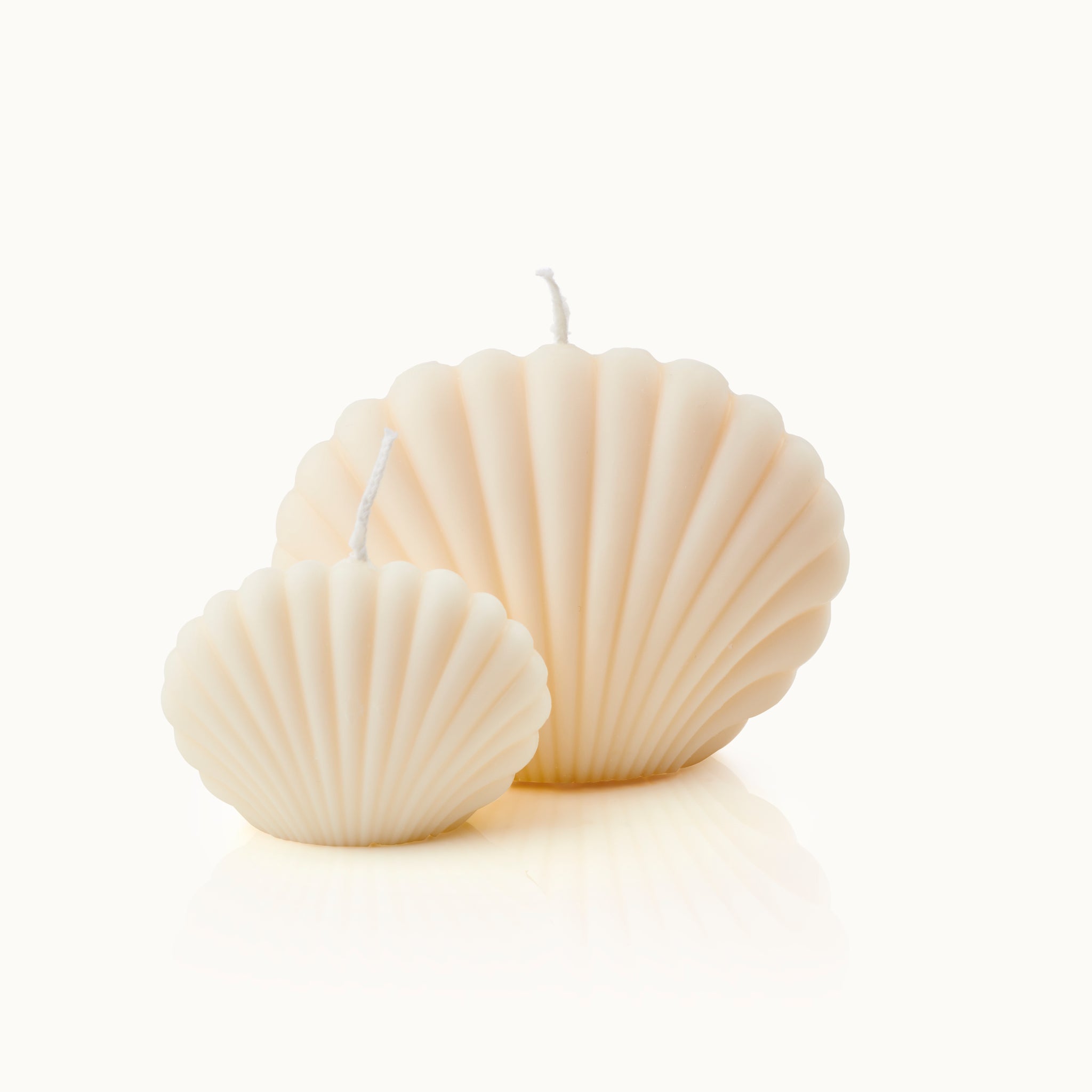 Candle in shell shape large white