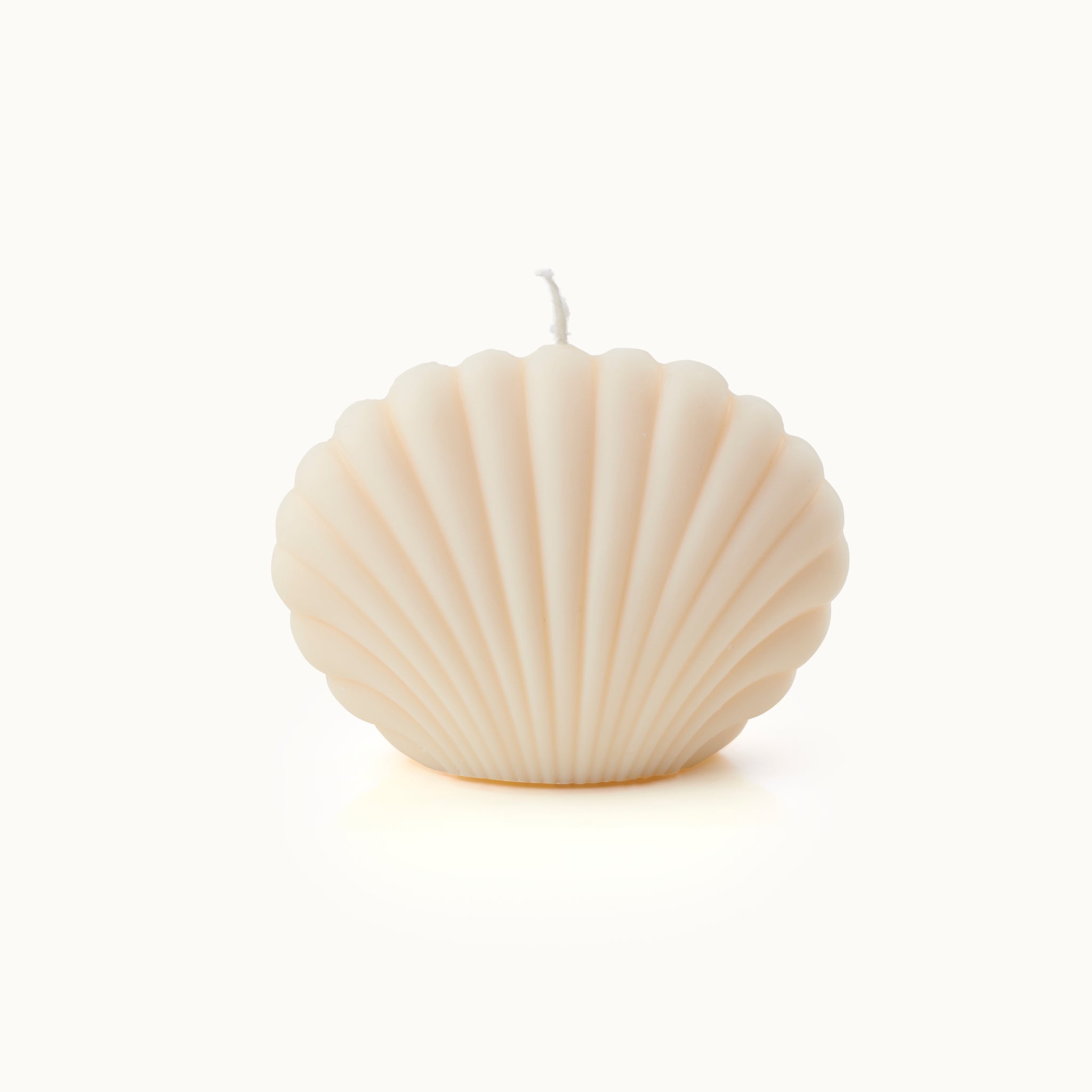Candle in shell shape large white