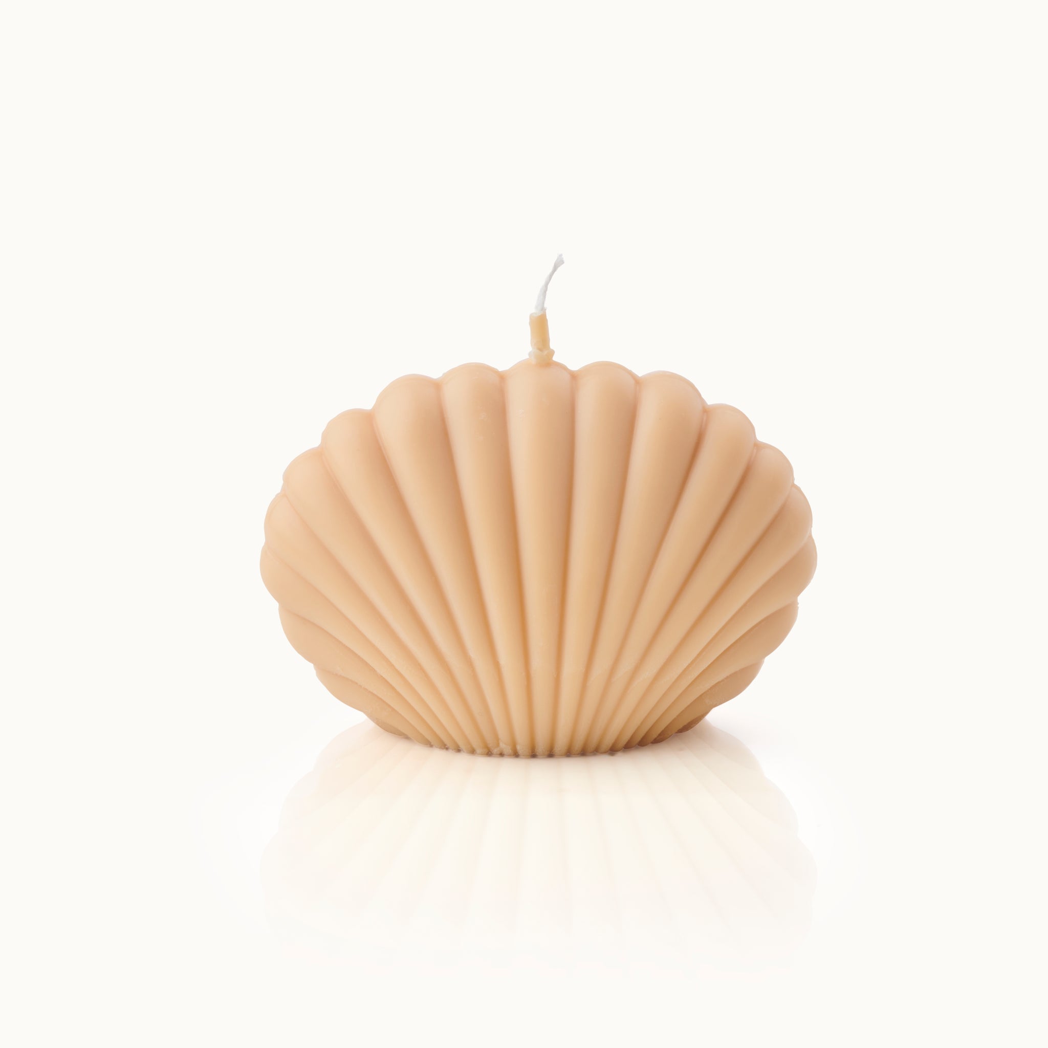 Candle in shell shape large mocca